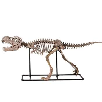 Amazon | 恐竜骨格フィギュア ヴェロキラプトル Velociraptor
